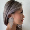 crystal tassel earrings