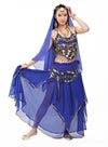 5pcs/Set Belly Dancing Costume Sets Egyption Egypt Belly Dance Costume Bollywood Costume Indian Dress Bellydance Dress