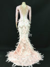 Sparkly Rhinestones Pink Feather Nude Dress Full Stones Long Big Tail Dress Costume Prom Birthday Celebrate Dresses