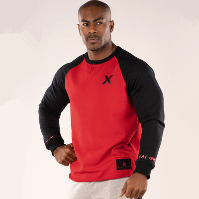 Mens Spring Autumn Cotton Hoodies Pullover Casual Fashion Sweatshirts Gyms Fitness Bodybuilding Workout Coats Male Tops clothing